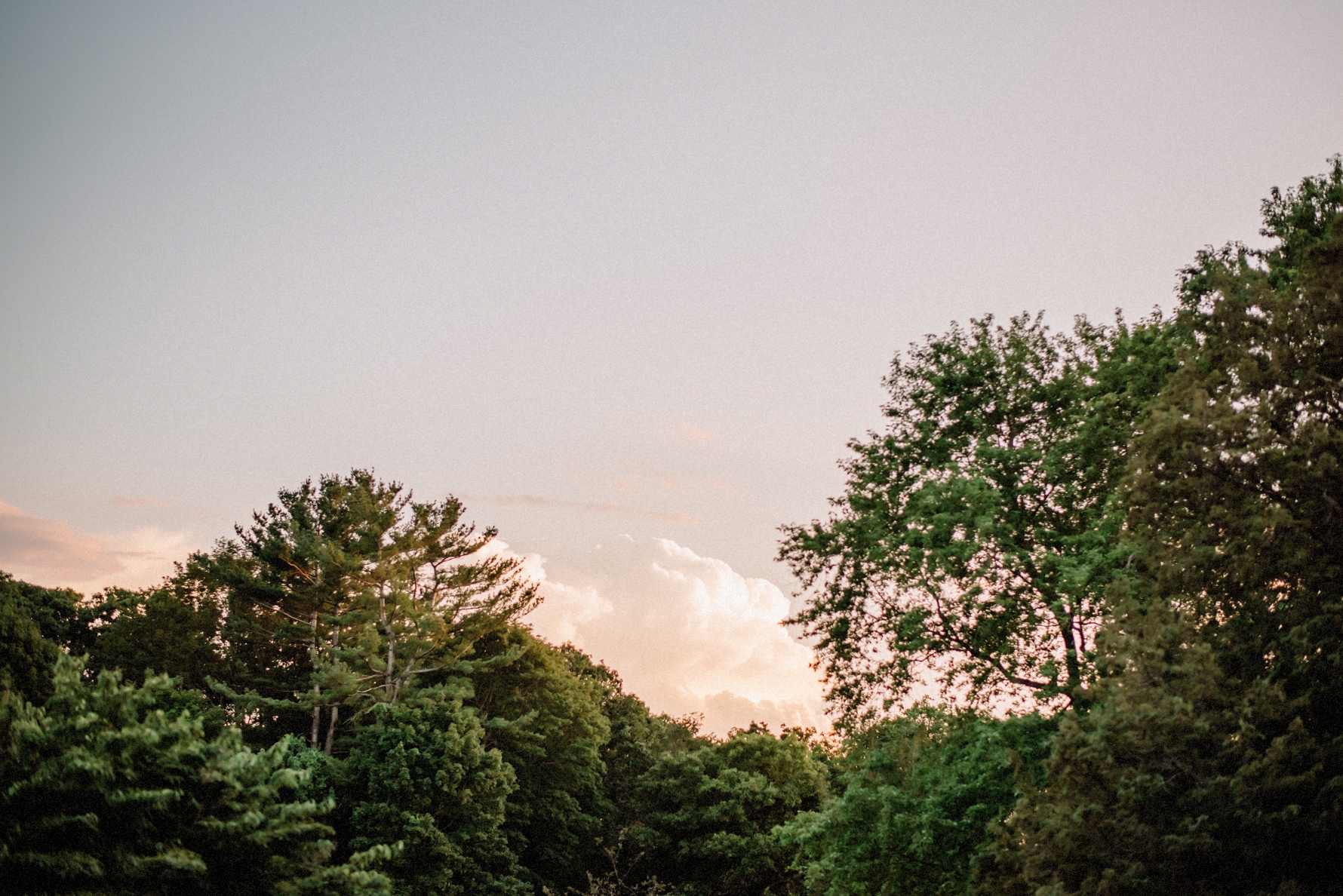 hellenic center wedding,