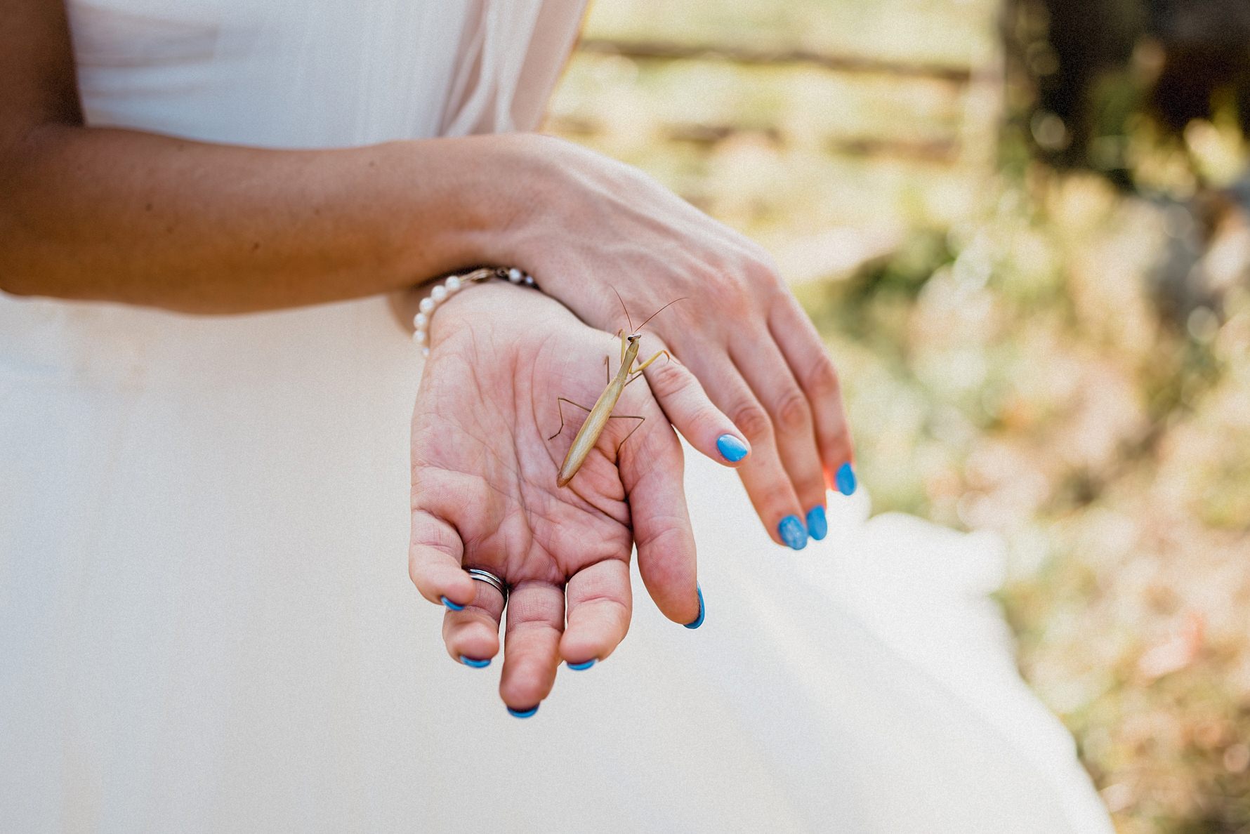 salem cross inn wedding,