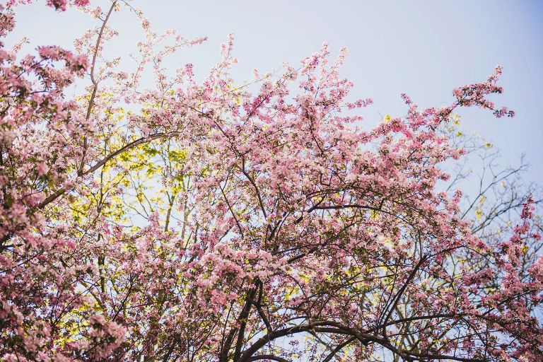 spring at alden castle,