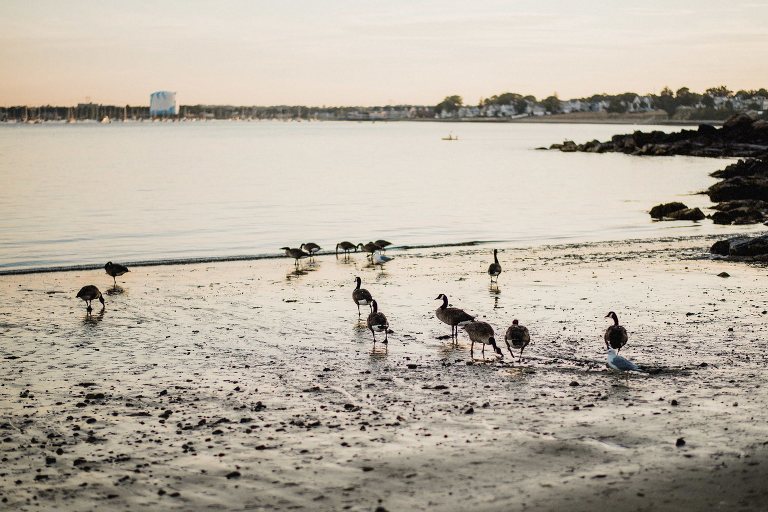 birds at lynch park,