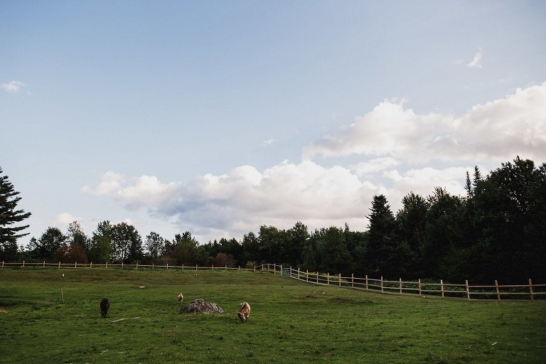 mountain meadows lodge wedding,